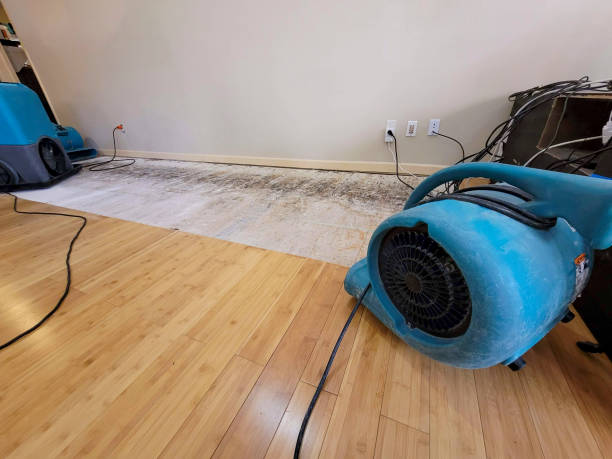 Professional Sewage Cleanup technician working in West Sand Lake, NY